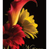 Notizbuch - Gerbera und Calla